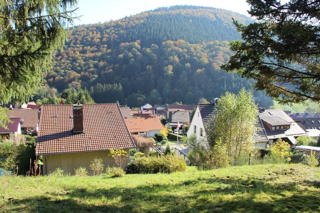 Haus Panoramablick Villa Sieber Kamer foto